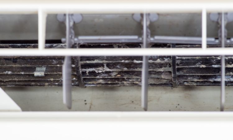 Mold in Aircon